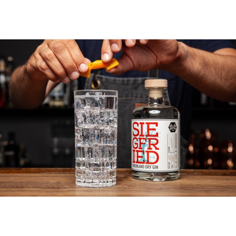 ジークフリート・ラインライト・ドライジン / SIEGFRIED