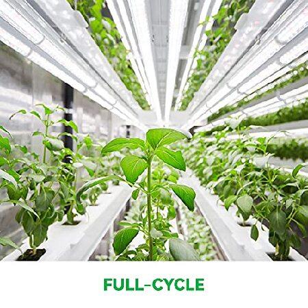 新作の予約販売も。 Monios-L LED Grow Light Strips，Full Spectrum Sunlight White， 3FT T5 90W(6X15W，500W Equivalent) for Indoor Plants，Grow Bars with Individual Switch for