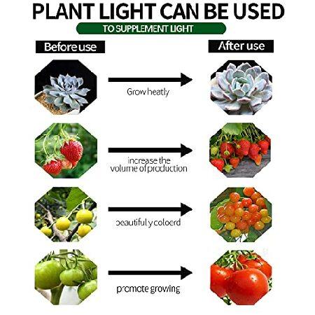 純正未使用品 Espird Outdoor LED Grow Lights for Greenhouse Waterproof String Grow Light， Full Spectrum LED Plant Grow Light Lamp， Waterproof Greenhouse Grow Lights