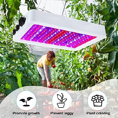 東京オリンピック 2 Pack 1000w LED Grow Lights for Indoor Plants Full Spectrum， Plant Growing Lamps with Veg ＆ Bloom ＆ Veg-bloom 3 Modes， Daisy Chain and Temperature