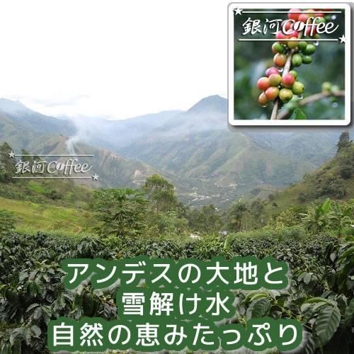 コーヒー豆 焙煎したて直送 マチュピチュ天空（ペルー） 無農薬 天然堆肥栽培 銀河コーヒー 150ｇ｜ginga-coffee｜05