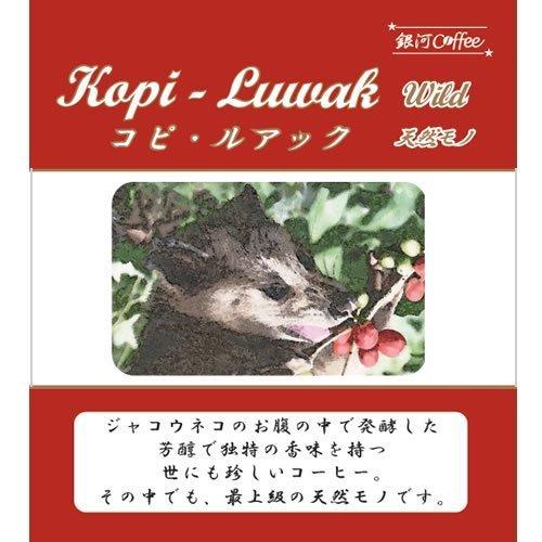 コーヒー豆 焙煎したて直送 ジャコウネコの体内で発酵「コピ・ルアック
