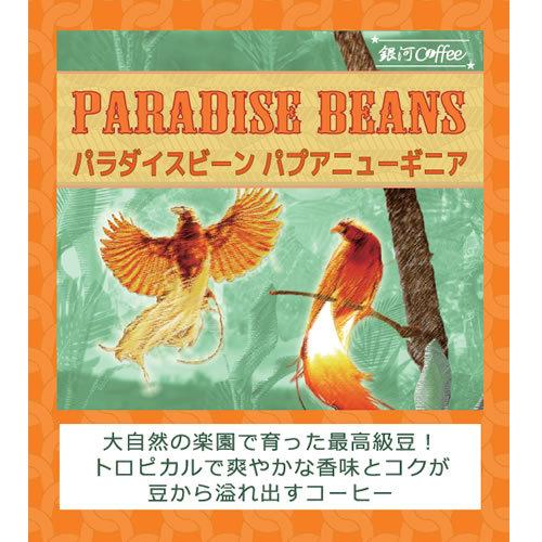 コーヒー豆  焙煎したて直送 パラダイスビーン（パプアニューギニア）銀河コーヒー 150g｜ginga-coffee｜02