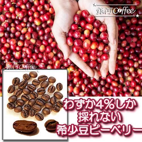 ドリップバッグ ビターチョコのような香味の希少豆 ショコラピーベリー