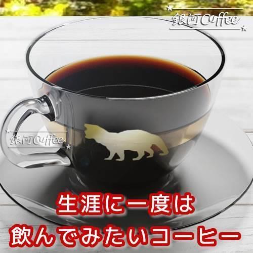 ドリップバッグ ジャコウネコの体内で発酵「コピ・ルアック（ガ