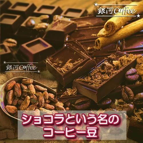 コーヒー豆 生豆 ショコラピーベリー （ブラジル） 銀河コーヒー 600g