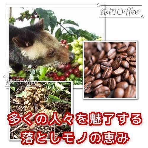 インドネシア産 ジャコウネコ インドネシア】インドネシアで買いたい！最高級コーヒー