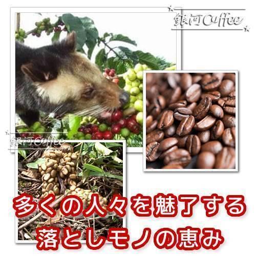 コーヒー豆 生豆 「コピ・ルアック（ガヨ高地 天然ジャコウネコ）」インドネシア 銀河コーヒー 60ｇ｜ginga-coffee｜05