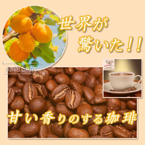 コーヒー豆 生豆 「The アプリコット」 コロンビア エルパライソ農園 銀河コーヒー 550ｇ_3
