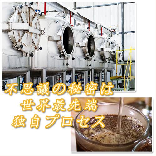 コーヒー豆 生豆 「The アプリコット」 コロンビア エルパライソ農園 銀河コーヒー 550ｇ_4