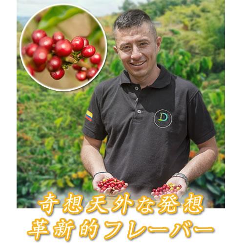 コーヒー豆 生豆 「The アプリコット」 コロンビア エルパライソ農園 銀河コーヒー 550ｇ_5