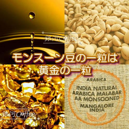 コーヒー豆 生豆 「ゴールデンモンスーン」 インド 銀河コーヒー 600ｇ｜ginga-coffee｜06