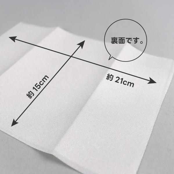 のびのびぬいつけゼッケン 1枚入 専用糸付き 15cm×21cm ミササ 水着用