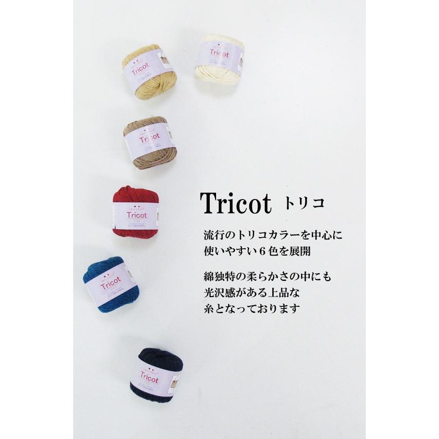 3玉パック夏糸 トリコ 60g 3玉 バッグ用の太めのストレートヤーン サマーヤーン Torico 手芸の店ギンガム 通販 Yahoo ショッピング