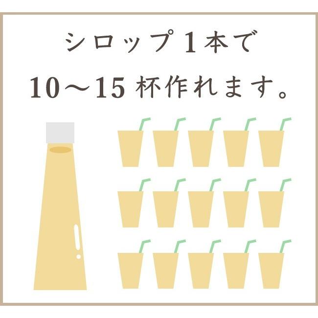 ジンジャーシロップ 甜菜糖 200ml 国産 熊本 高知 長崎 無添加 無着色 生姜シロップ しょうがシロップ 温活 冷え対策 送料無料｜ginger-factory｜05