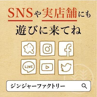 ジンジャーシロップ + チップスセット【3本箱】国産 熊本 高知 長崎 無添加 無着色 生姜シロップ しょうがシロップ お菓子 ヘルシー 生姜紅茶 ギフト 贈答｜ginger-factory｜14