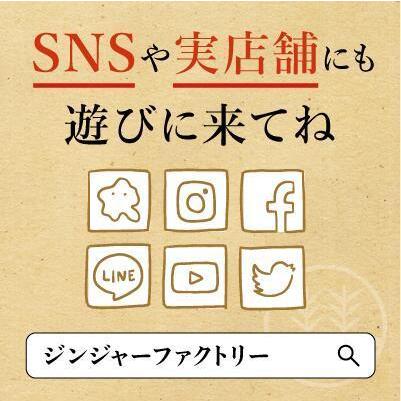 ジンジャープランター 不織布 注意 種と土は付いていません 生姜栽培 しょうが栽培 家庭菜園 Gf0041 Ginger Factory 通販 Yahoo ショッピング