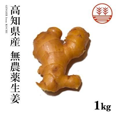 無農薬 生姜 1kg 高知県産 国産 送料無料 しょうが ショウガ 根 無農薬 生姜 1kg 高知県産 国産 送料無料 しょうが ショウガ 根