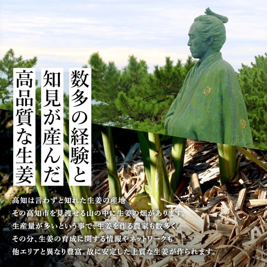 無農薬 生姜 1kg 高知県産 国産 送料無料 しょうが ショウガ 根 無農薬 生姜 1kg 高知県産 国産 送料無料 しょうが ショウガ 根