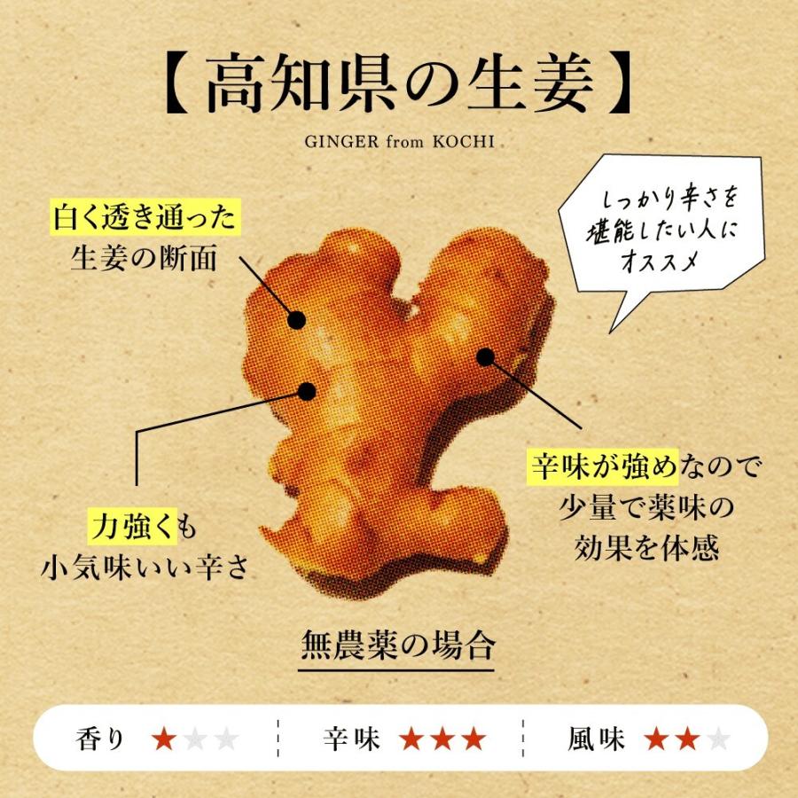 無農薬 生姜 1kg 高知県産 国産 送料無料 しょうが ショウガ 根 無農薬 生姜 1kg 高知県産 国産 送料無料 しょうが ショウガ 根