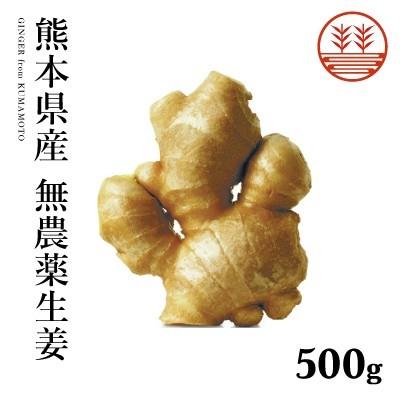 種生姜 熊本生姜 5キロ 無農薬 生姜 500g 熊本県産 国産 しょうが ショウガ 根生姜 佃煮 薬味