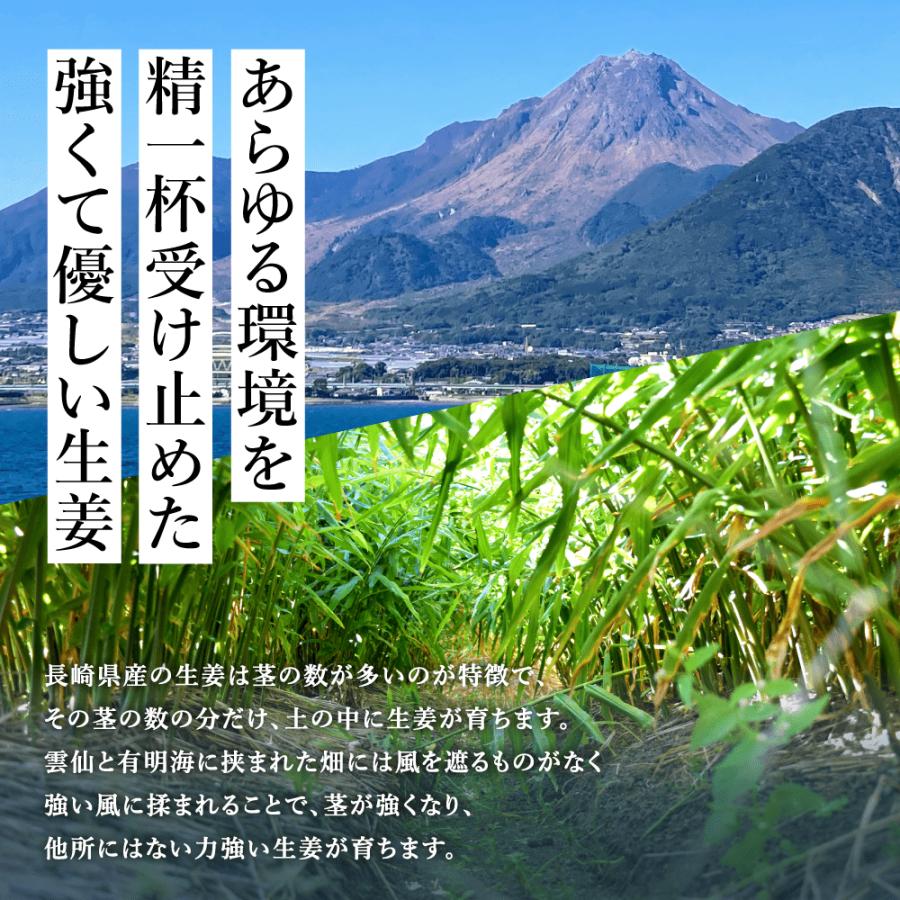 無農薬 生姜 1kg 長崎県産 国産 送料無料 しょうが ショウガ 根 無農薬 生姜 1kg 長崎県産 国産 送料無料 しょうが ショウガ 根