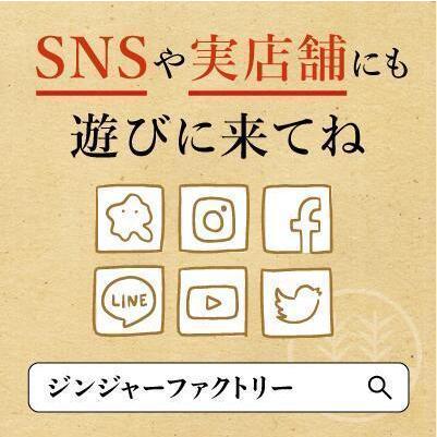 ジンジャーエール 国産天然炭酸水で作ろうセット 甜菜糖【2本箱】国産 熊本 高知 長崎 無添加 無着色 生姜シロップ しょうがシロップ ギフト 贈答｜ginger-factory｜09