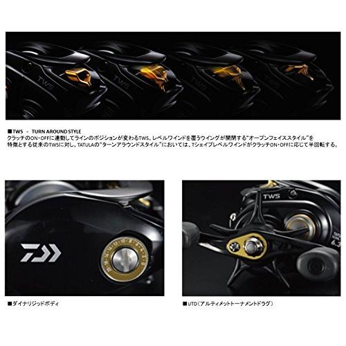 ダイワ(Daiwa) ベイトリール 14 タトゥーラ 103SHL-TW 