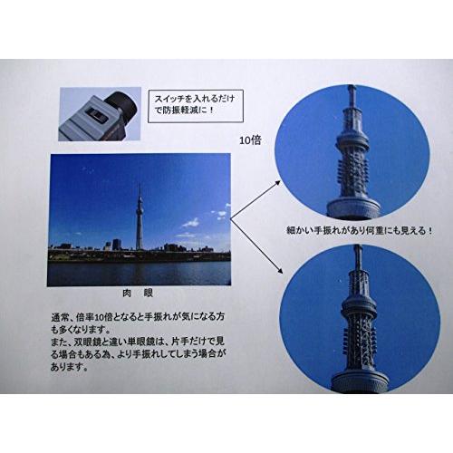 【まとめ売り】 SIGHTRON 防振 単眼鏡 手振れ機能 搭載 防水タイプ SIIBL10X25 コンサート スポーツ観戦 野外 SIB23-0126 【RIZ7615645840】(26855円)