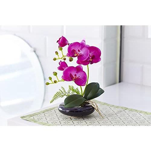 現金特価 光触媒 卓上型胡蝶蘭 奏 かなで ホワイト 1セット 12点 12点 A B01lywc2ji Ginger Cat 通販 Yahoo ショッピング 独創的 Www Maxipiso Com Ar