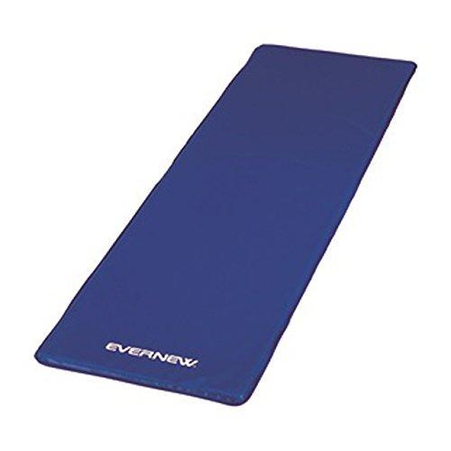 エバニュー(EVERNEW) ストレッチマット180 ETB638 