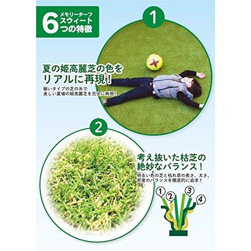 高品質 形状記憶 人工芝 メモリーターフ スウィート 巾1m×長さ10m(芝の長さ20mm) MTS20-0110 