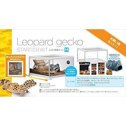 GEX EXOTERRA レプテリア レオパ飼育キットM 爬虫類用ガラスケージ 6点スターターセット ヒーター付 W31.6×D31.6×H19.2cm 2cm