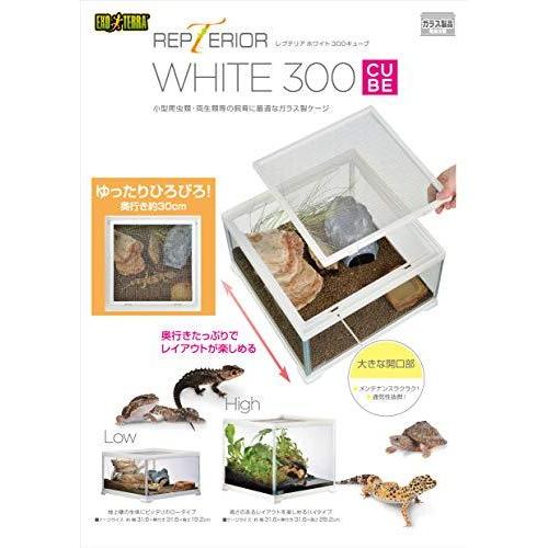GEX EXOTERRA レプテリア レオパ飼育キットM 爬虫類用ガラスケージ 6点スターターセット ヒーター付 W31.6×D31.6×H19.2cm 2cm
