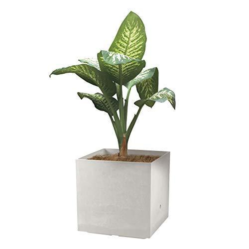 リッチェル 大型プランター 陶器風 ホワイト 45×45×45cm ラヴィーレWS キューブ 45型 底面給水機能付き 709002 