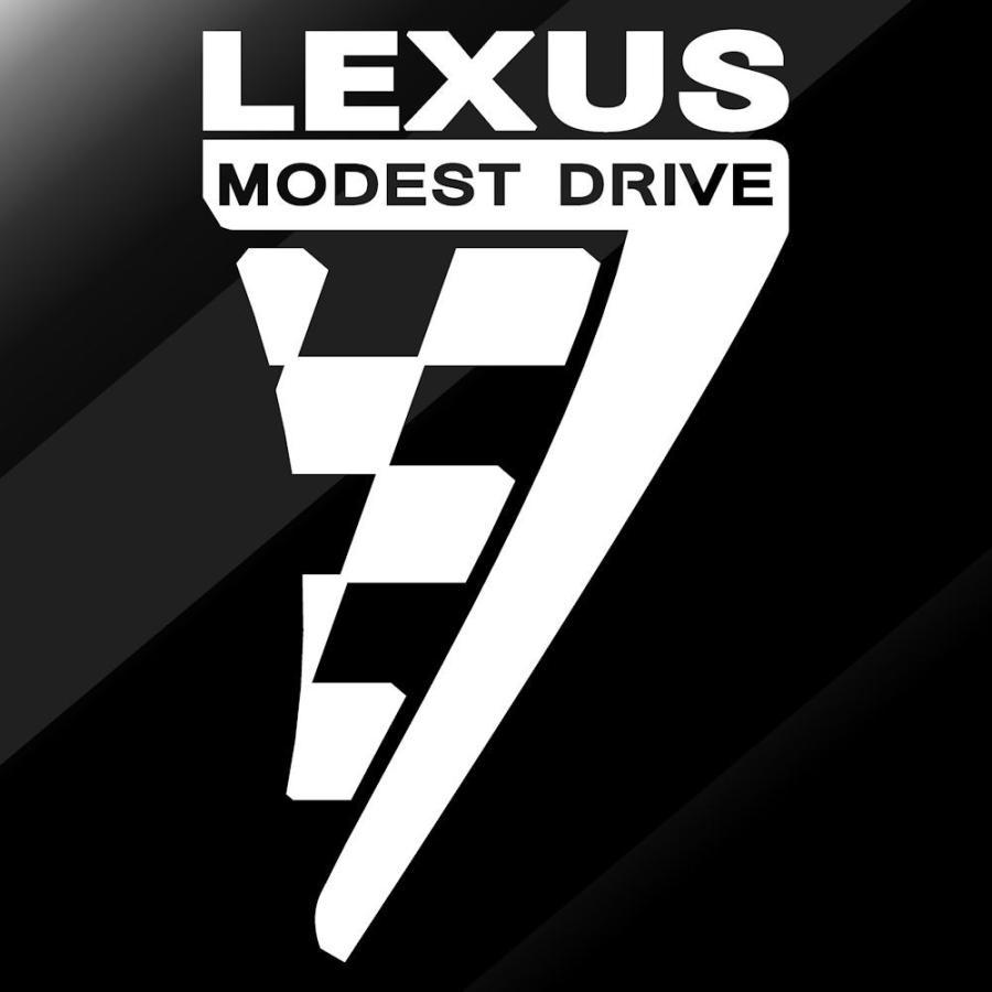 車 ステッカー かっこいい レクサス Lexus スポーツ ステッカー 右側 車用 ボディー ペイント タッチペイント 仕上げ ドレスアップ C10 017 028 R 15 10 銀影工房 通販 Yahoo ショッピング