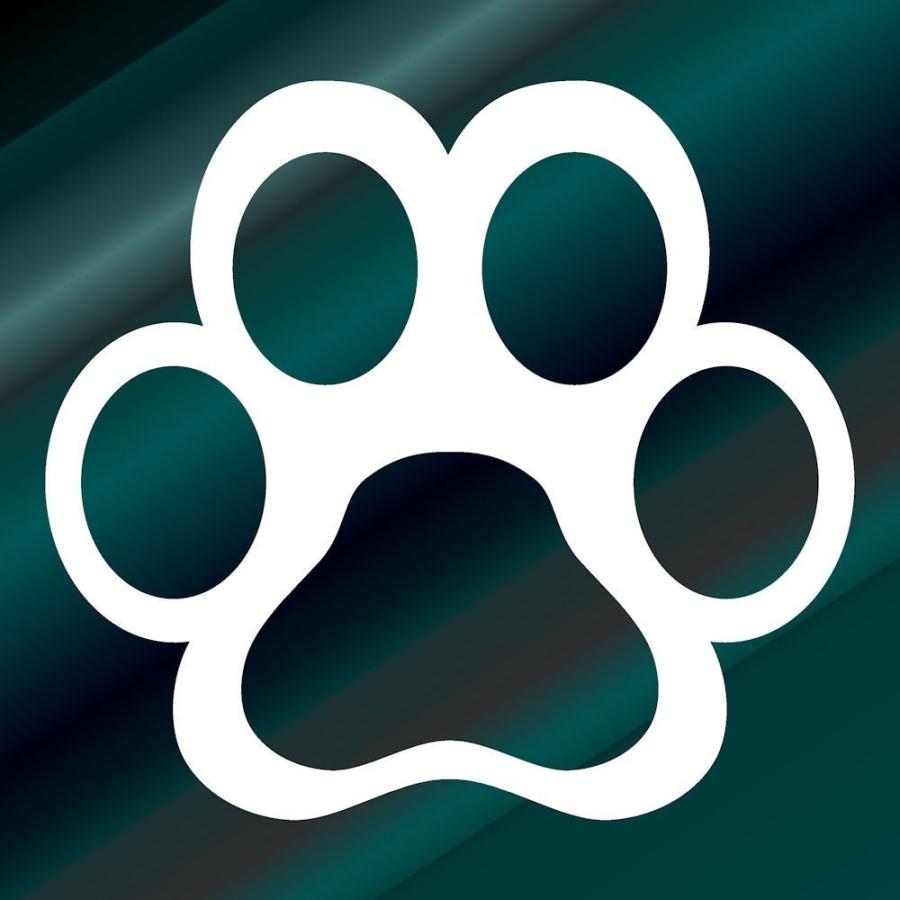 肉球ステッカー 猫 車 ステッカー かわいい猫 雑貨 ねこ 用品 猫グッズ 足跡 ５ｃｍサイズ 同色４枚セット C4 001 001 05 05 銀影工房 通販 Yahoo ショッピング