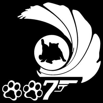 車 ステッカー おもしろ かっこいい 猫 ００７ パロディー カー ステッカー C4 007 P4 15 15 銀影工房 通販 Yahoo ショッピング