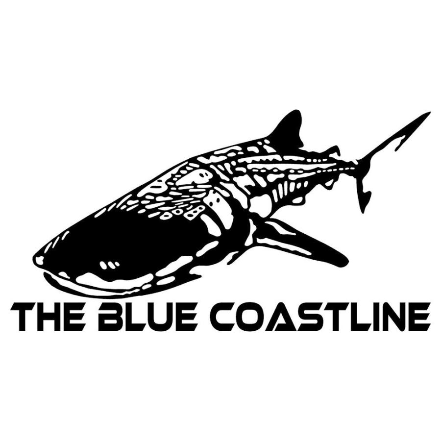 ハワイアン 車 ステッカー おしゃれ リア ジンベイザメ スキューバダイビング ハワイアン雑貨 カー用品 デカール カッティング ステッカー C6 008 001 16 30 銀影工房 通販 Yahoo ショッピング