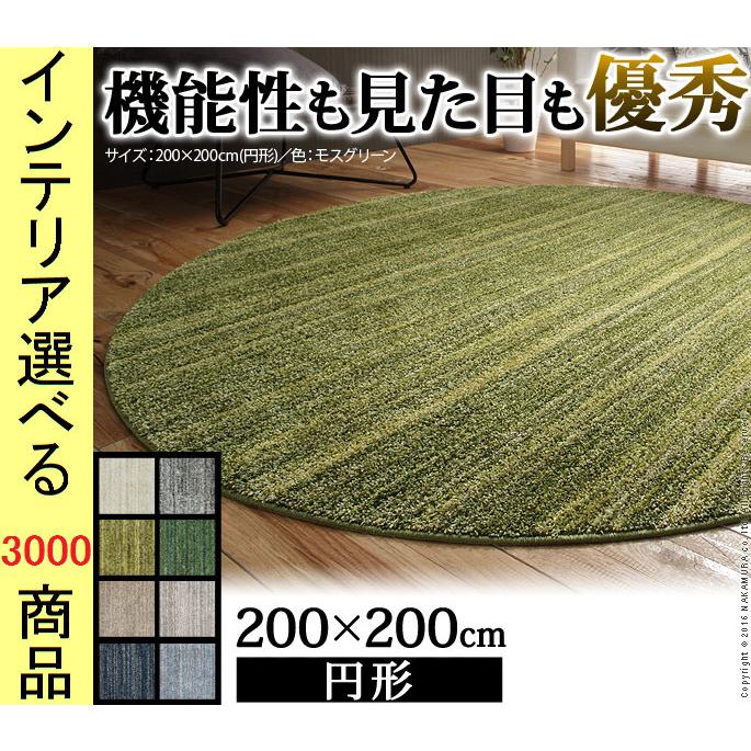 ꫛꫀꪝ✧‧˚特別作成⭐最強魔除け・健康お守りオルゴナイト【伊勢神宮念