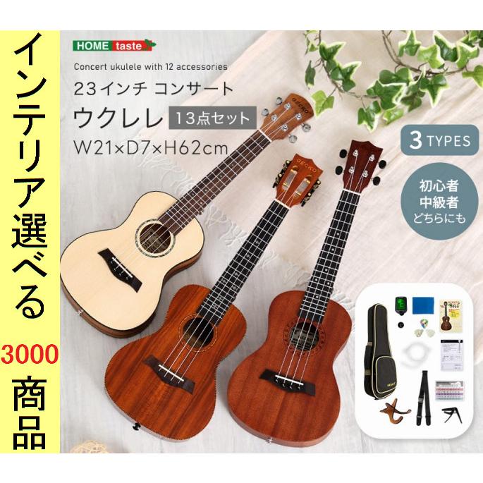楽器 ウクレレ 21×7×62cm コンサート用 23インチ 13点セット コア