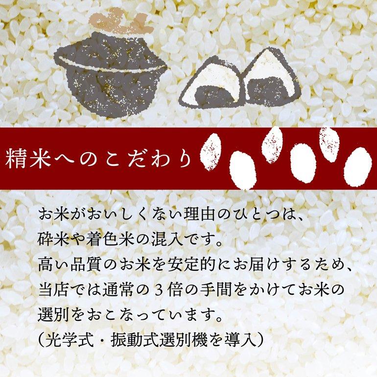 無洗米 コシヒカリ 10kg 三重県産 5kg×2本 お米 米 令和5年産 送料無料 単一原料米 こしひかり｜ginmaihonpo｜07