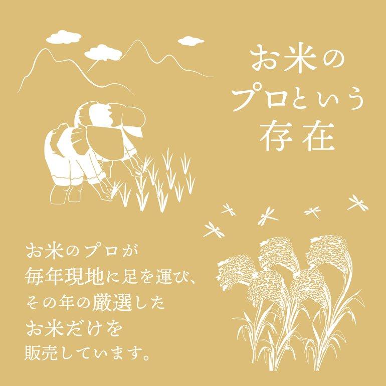 無洗米 コシヒカリ 10kg 三重県産 5kg×2本 お米 米 令和5年産 送料無料 単一原料米 こしひかり｜ginmaihonpo｜08