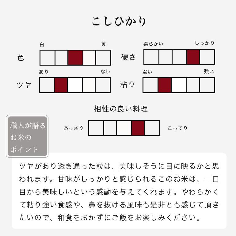 コシヒカリ 米 10kg 5kg×2本 白米 送料無料 富山県黒部産 令和7年 一宮精米_1