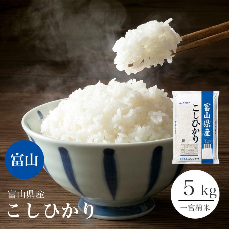 コシヒカリ 富山県産 5kg 令和6年産 お米 米 送料無料 : 吟米本舗 