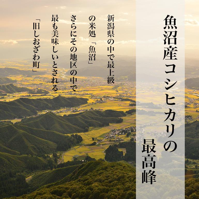 最高級 魚沼産 コシヒカリ 米 5kg 白米 南魚沼 塩沢 しおざわ産 新潟県 送料無料 令和5年 一宮精米 米 単一原料米 特A｜ginmaihonpo｜04