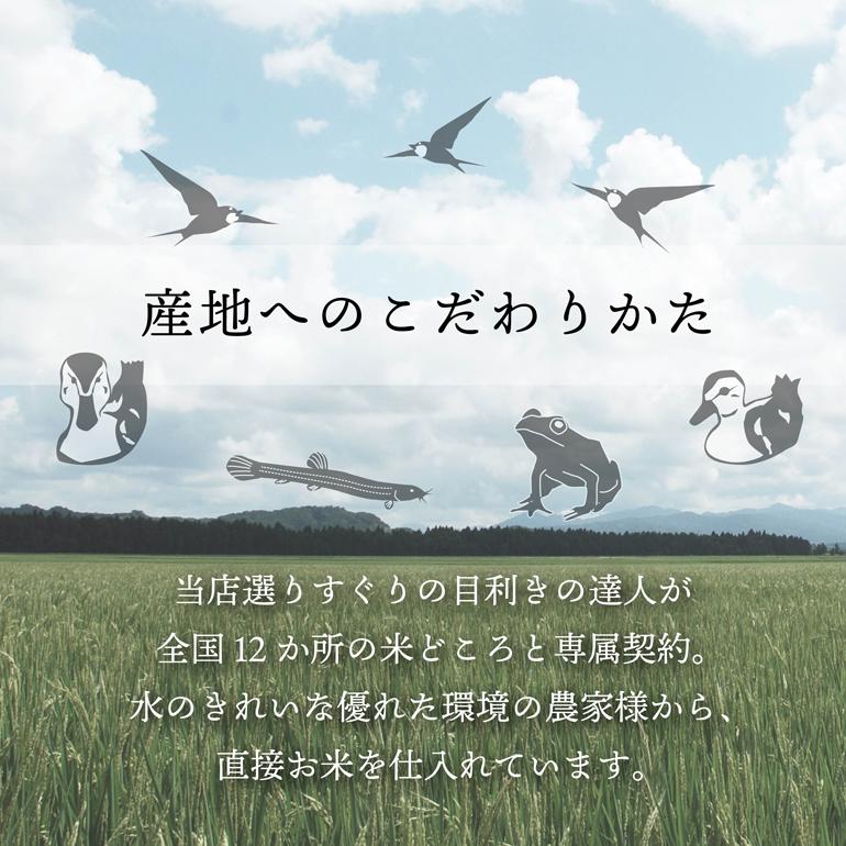 米 10kg 白米 送料無料 青天の霹靂 青森県産 一宮精米 令和5年産 単一原料米 過去特A取得実績あり 北海道 沖縄別途送料必要 5kg×2本｜ginmaihonpo｜05