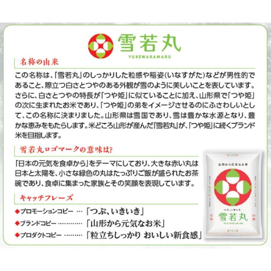 雪若丸 10kg 山形県産 令和7年 送料無料 一宮精米 米 お米 5kg×2本 単一原料米 特A米_3