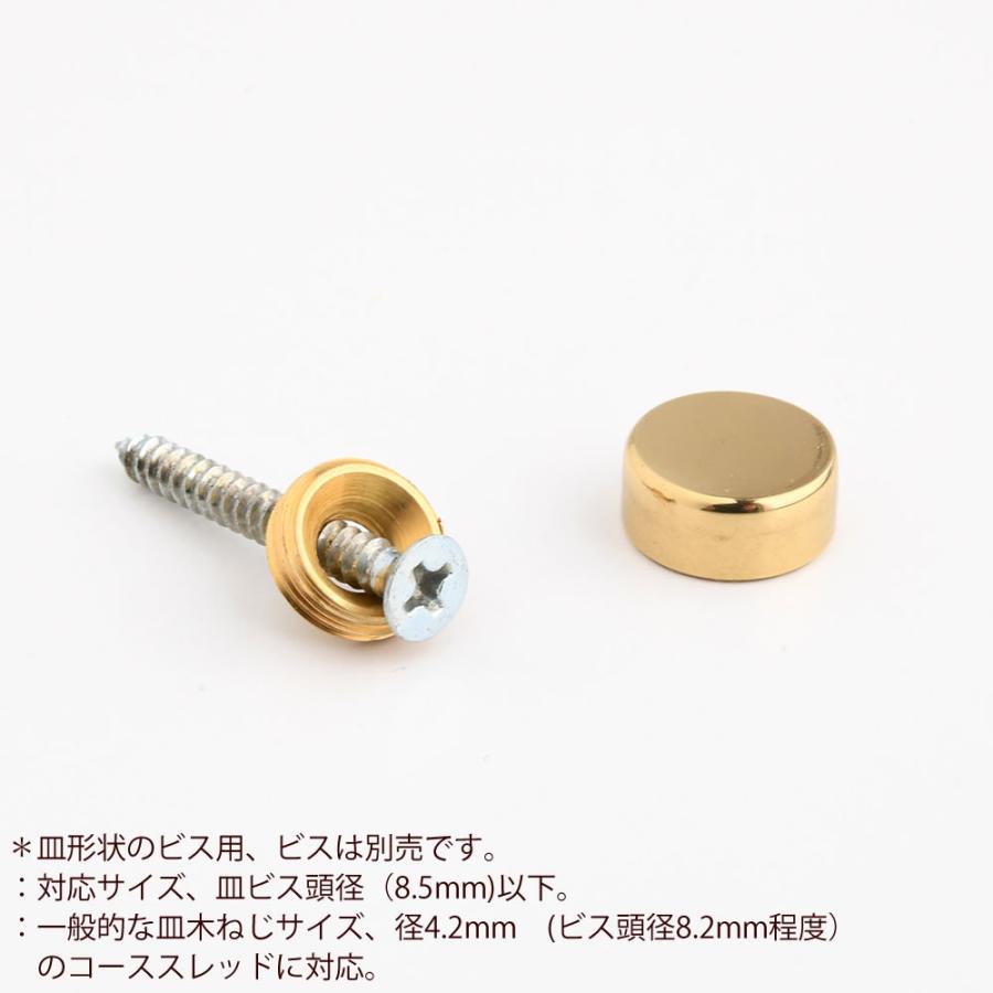 ビスキャップ 真鍮製 真鍮クリアー仕上げ 金色 12mm) ネジ頭を隠す