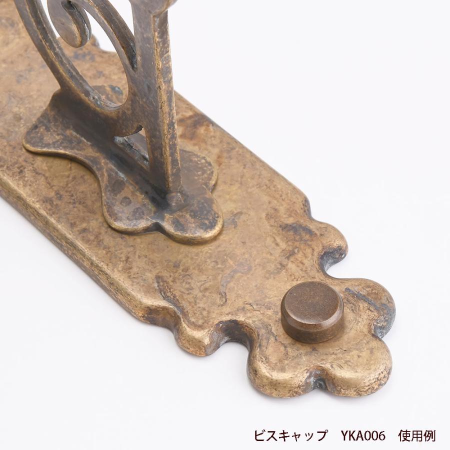 ビスキャップ 真鍮製 古色 12mm) 仕上げ ネジ頭を隠す ネジ見えない